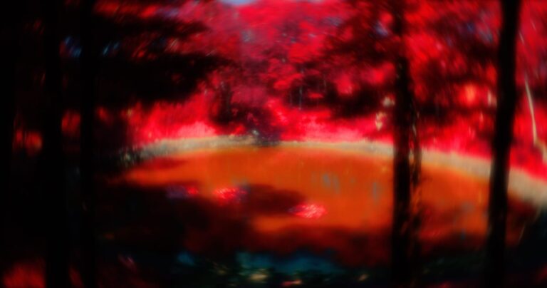 There is a War: Rouzbeh Rashidi’s Elpis
