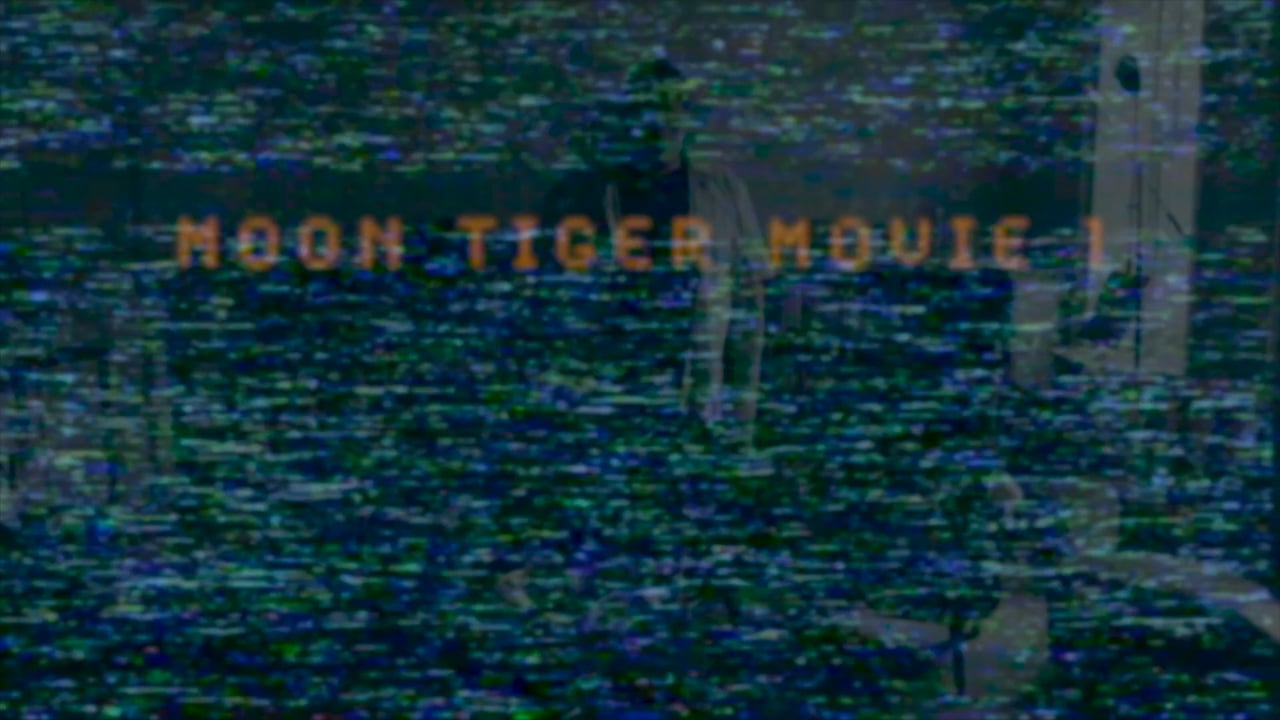 Still from Moon Tiger Movie