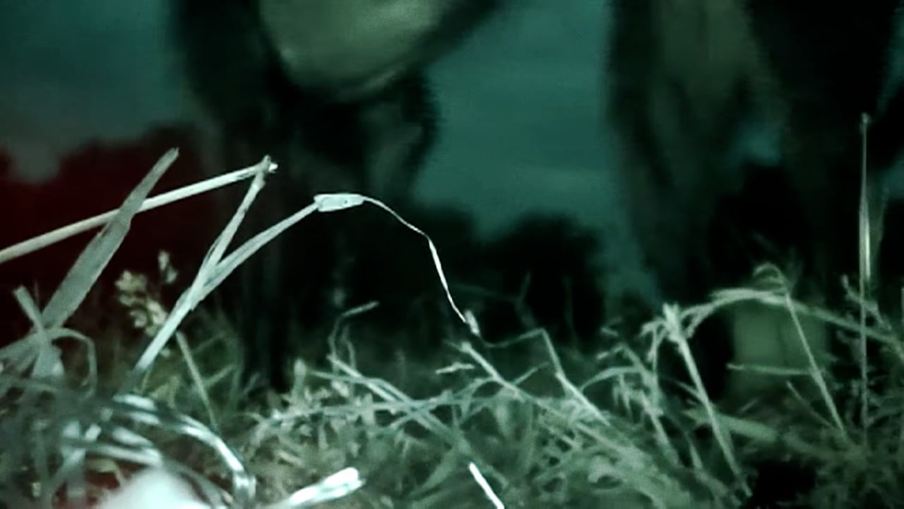 Still from The Landfill