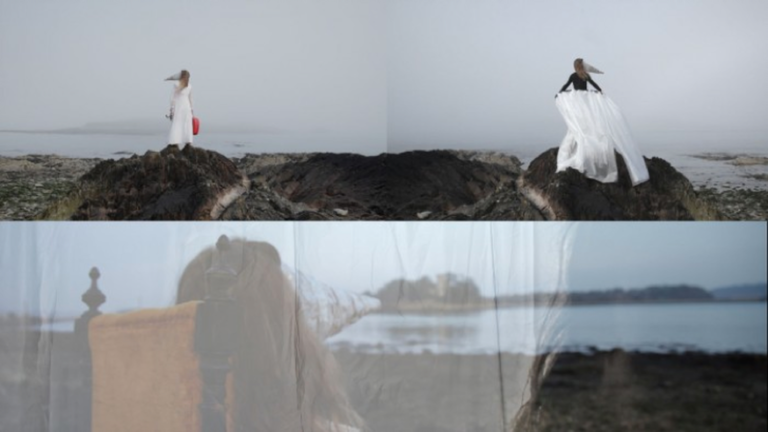 Spoor: An Installation by Natasha Bourke