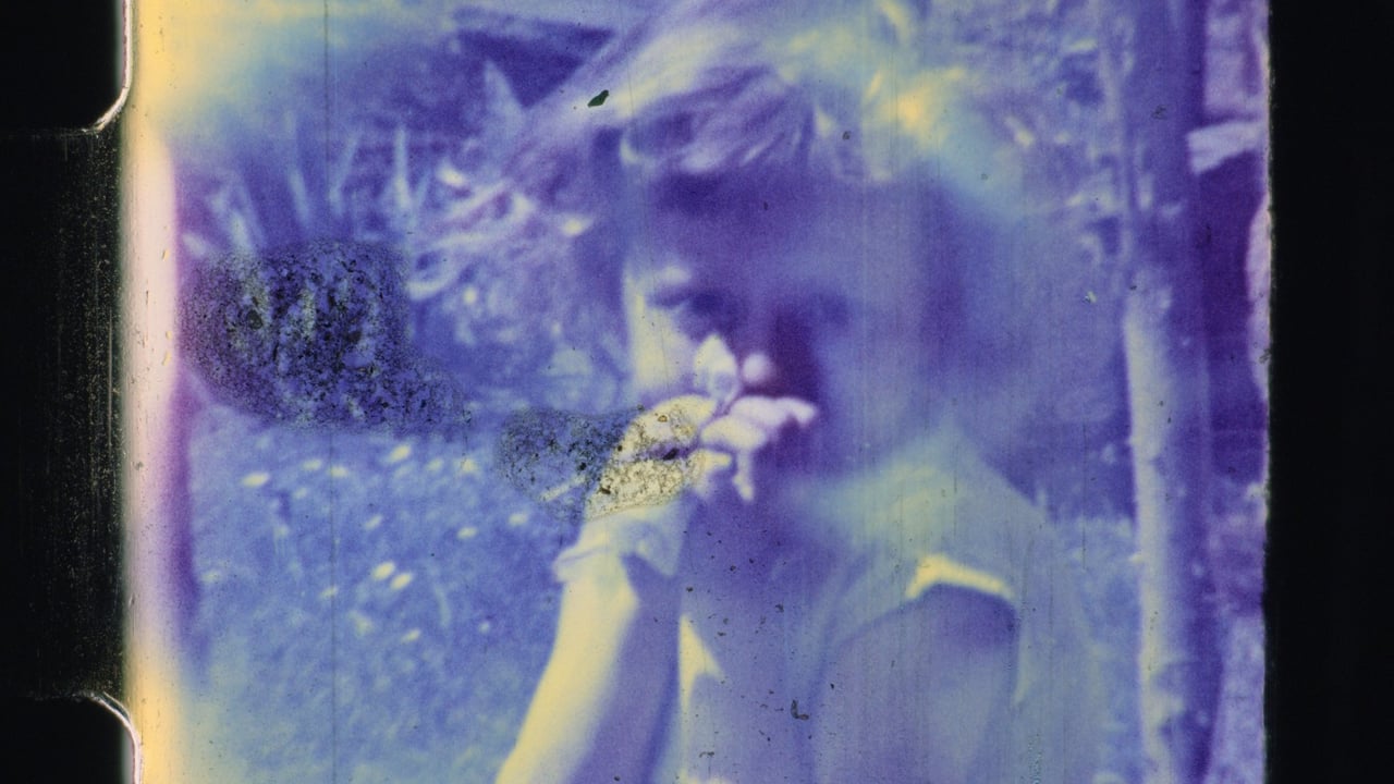Still from Atoosa Pour Hosseini: Celluloid Works (Vol. One)