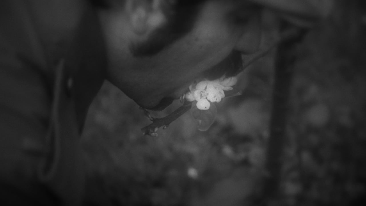 Still from Homo Sapiens Project, Volume 10