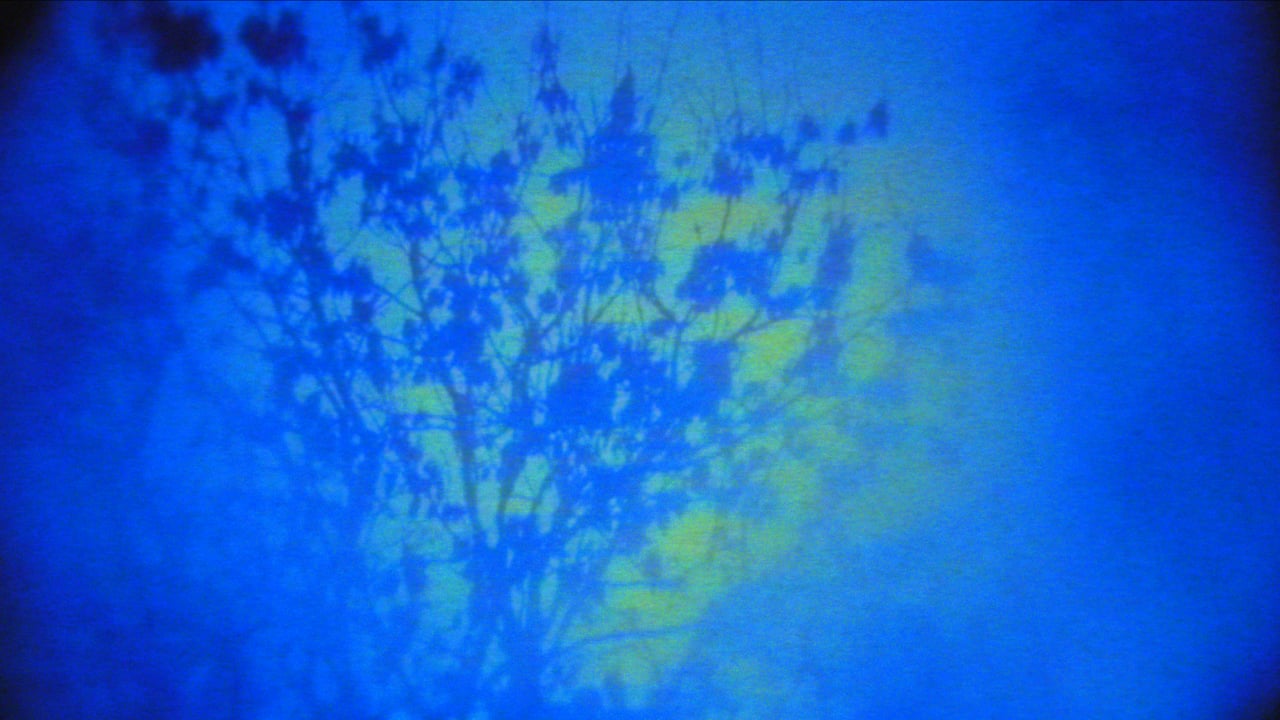 Still from Homo Sapiens Project (201)