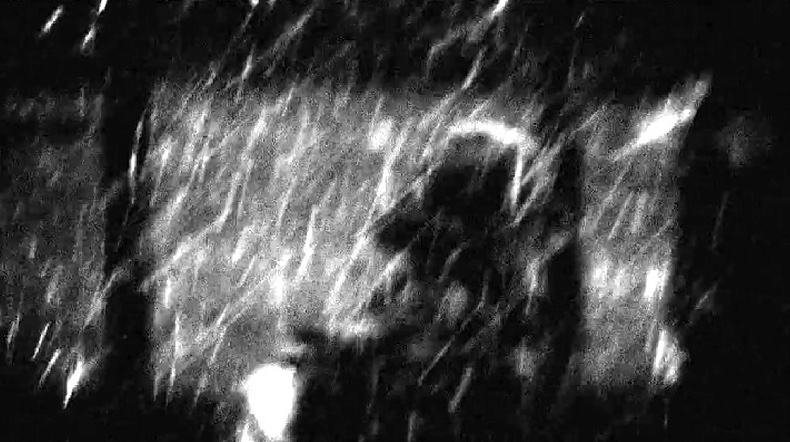 Snow and grain merging in Immanence Deconstruction of Us