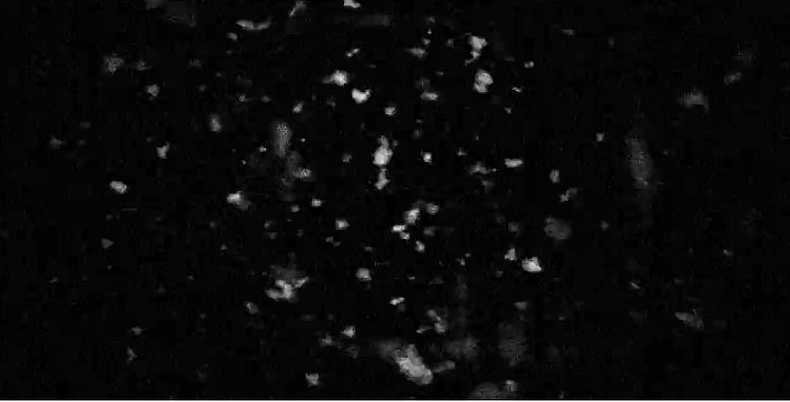 Snowflakes against black night in Immanence Deconstruction of Us