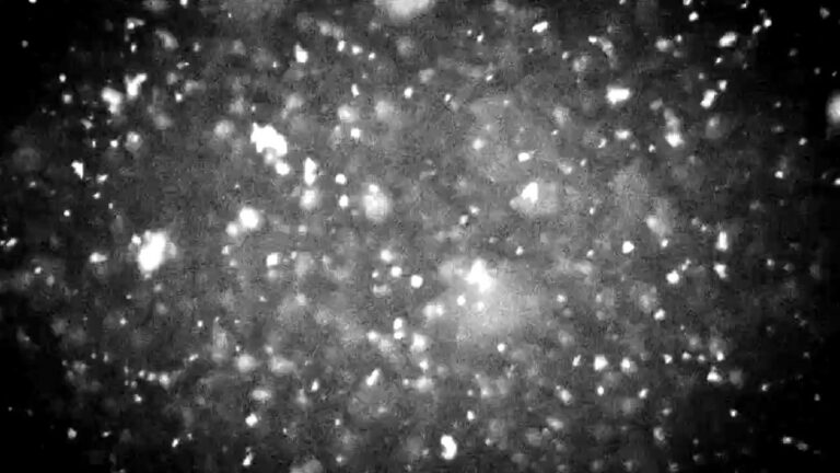 Snow filmed at night in Immanence Deconstruction of Us by Rouzbeh Rashidi
